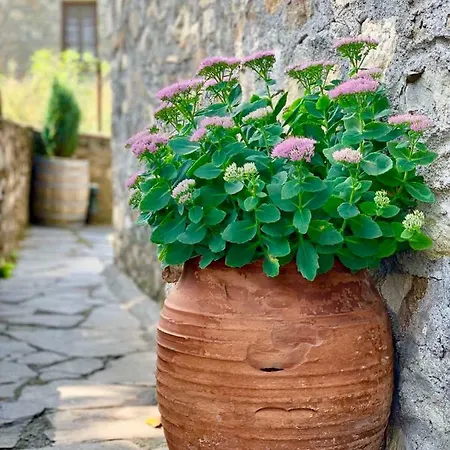 πετρόχτιστη παραδοσιακή  χιονάτη Σπίτι διακοπών *