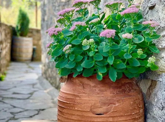πέτρινο παραδοσιακό σπίτι 